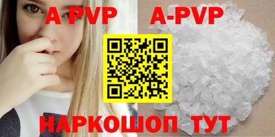круглые Кингисепп