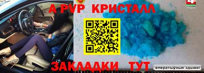 круглые Кингисепп