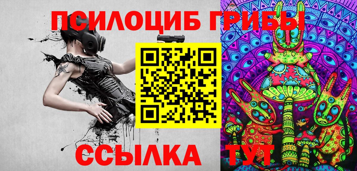 Псилоцибиновые грибы GOLDEN TEACHER Котельники
