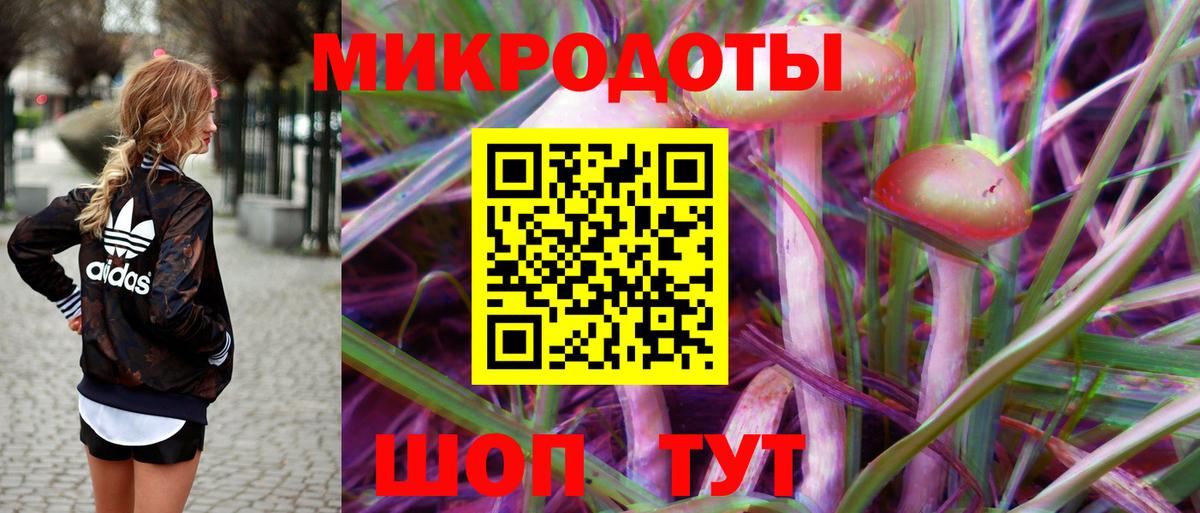 Галлюциногенные грибы Psilocybe  Вход с VPN  Котельники 