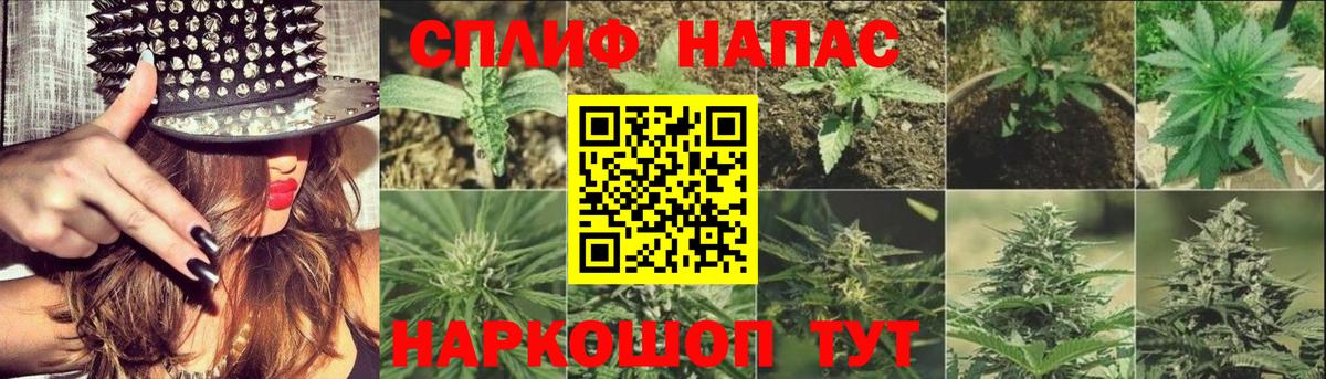 Каннабис SATIVA & INDICA Котельники